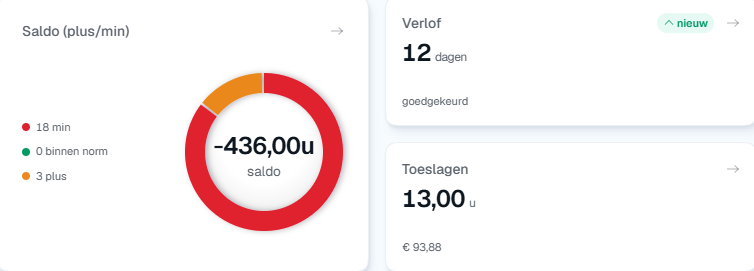Dashboardkaarten met het saldo, het goedgekeurde verlof en de toeslagen